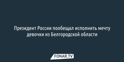 Президент России пообещал маленькой белгородке тренировку на авиатренажёре