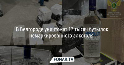 В Белгороде уничтожат 17 тысяч бутылок немаркированного алкоголя 