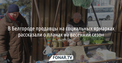В Белгороде продавцы на социальных ярмарках рассказали о планах на весенний сезон