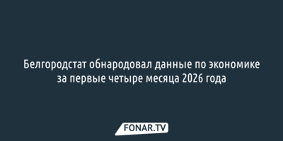 Белгородстат обнародовал данные по экономике за первые четыре месяца 2026 года
