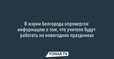 В мэрии Белгорода опровергли информацию о том, что учителя будут работать на новогодних праздниках