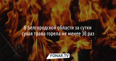 В Белгородской области за сутки сухая трава горела не менее 30 раз