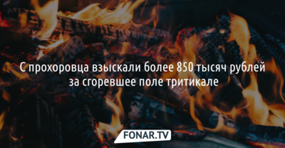 С прохоровца взыскали более 850 тысяч рублей за сгоревшее поле тритикале
