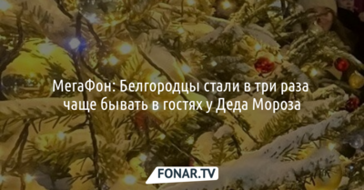 МегаФон: Белгородцы стали в три раза чаще бывать в гостях у Деда Мороза