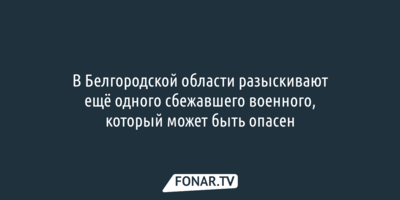 В Белгородской области разыскивают ещё одного сбежавшего военного