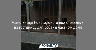 Белгородка пожаловалась на гостиницу для собак в частном доме