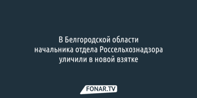 В Белгородской области начальника отдела Россельхознадзора уличили в новой взятке