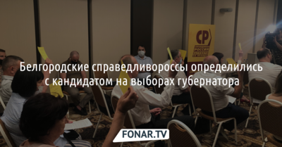 Белгородские справедливороссы определились с кандидатом на выборах губернатора