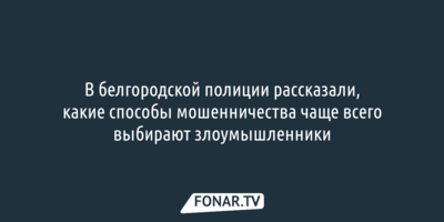 Полицейские рассказали, как мошенники чаще всего обманывают белгородцев