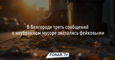 Белгородский министр обвинил ботов в нагнетании ситуации с вывозом мусора