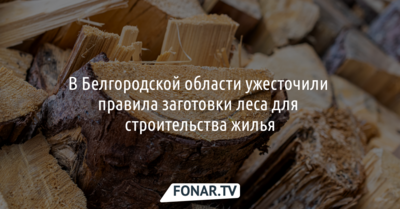 В Белгородской области ужесточили правила заготовки леса для строительства жилья
