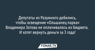Депутаты из Разумного добились, чтобы освещение «Ольшанец парка» Владимира Зотова не оплачивалось из бюджета