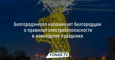 Белгородэнерго напоминает белгородцам о правилах электробезопасности в новогодние праздники