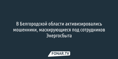 В Белгородской области за месяц в четыре раза выросло количество мошенничеств с электросчётчиками