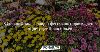 Старый Оскол по примеру Белгорода проводит фестиваль «Цветущее Приосколье»