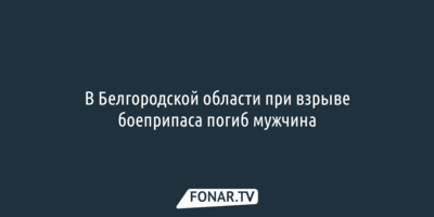 В Белгородской области при взрыве боеприпаса погиб мужчина