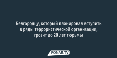 ФСБ: Белгородцу, который планировал вступить в ряды террористов, грозит до 20 лет тюрьмы