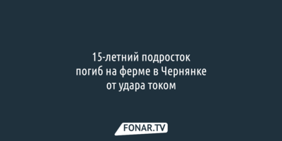 Заведующий фермой пойдёт под суд после гибели 15-летнего белгородца от удара током