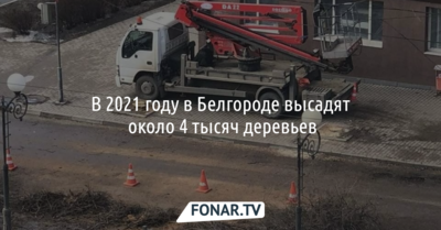 В 2021 году в Белгороде высадят около 4 тысяч деревьев 