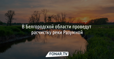 В Белгородской области почистят реку Разумную