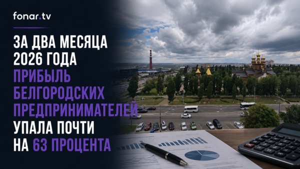 За два месяца 2026 года прибыль белгородских предпринимателей упала почти на 63 процента