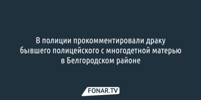 В полиции прокомментировали драку бывшего полицейского с многодетной матерью в Белгородском районе