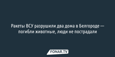 Ракеты ВСУ разрушили два дома в Белгороде — погибли животные, люди не пострадали