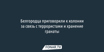 Белгородца приговорили к колонии за связь с террористами и хранение гранаты