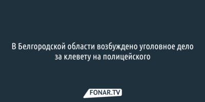 В Белгородской области возбуждено уголовное дело за клевету на полицейского   