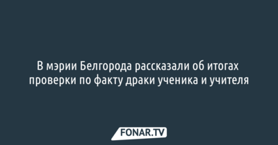 В мэрии Белгорода рассказали об итогах проверки по факту драки ученика и учителя