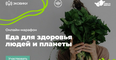 Белгородцев в онлайне научат питаться без вреда для окружающей среды