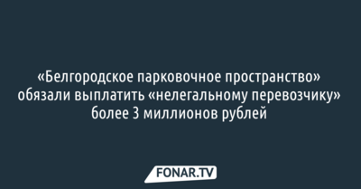 «Белгородское парковочное пространство» обязали выплатить «нелегальному перевозчику» более 3 миллионов рублей 