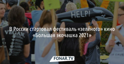 В России стартовал фестиваль «зелёного» кино «Большая экочашка 2021»