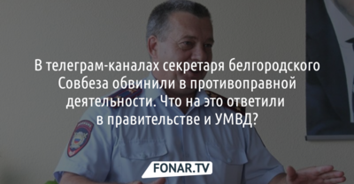 В телеграм-каналах секретаря белгородского Совбеза обвинили в противоправной деятельности. Что на это ответили в правительстве и УМВД?