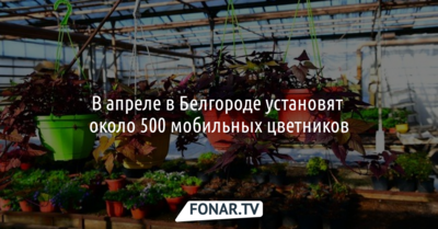 В Белгороде установят около 500 мобильных цветников и высадят 5 миллионов тюльпанов