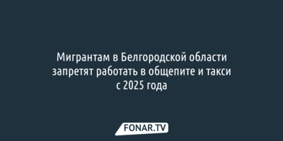 Мигрантам в Белгородской области запретят работать в общепите и такси с 2025 года