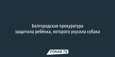 Белгородская прокуратура защитила ребёнка, которого укусила собака
