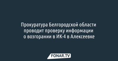 Прокуратура Белгородской области проводит проверку информации о возгорании в ИК-4 в Алексеевке