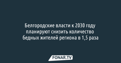 Белгородское правительство к 2030 году планирует снизить количество бедных жителей в полтора раза