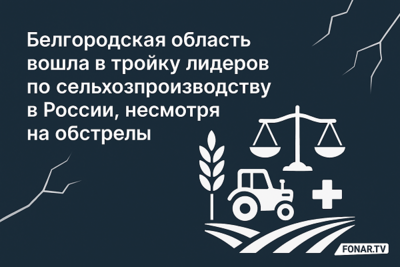 Белгородская область вошла в тройку лидеров по сельхозпроизводству в России, несмотря на обстрелы