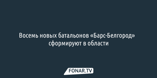 Восемь новых батальонов «Барс-Белгород» сформируют в области