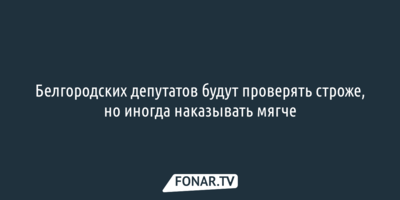 Белгородских депутатов будут проверять строже, но иногда наказывать мягче