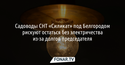Садоводы СНТ «Силикат» под Белгородом рискуют остаться без электричества из-за долгов председателя