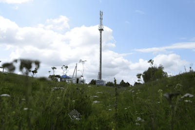 Т2 выяснила, кто активнее всего пользуется интернетом в деревнях