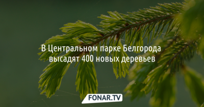 В Центральном парке Белгорода высадят 400 деревьев