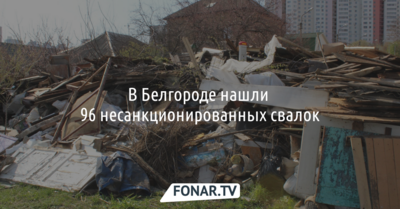 В Белгороде нашли 96 несанкционированных свалок