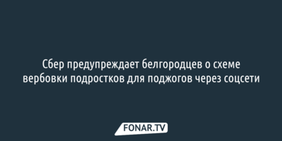 Сбер предупреждает белгородцев о схеме вербовки подростков для поджогов через соцсети 