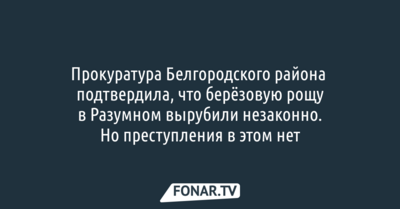 Прокуратура Белгородского района подтвердила, что берёзовую рощу в Разумном вырубили незаконно. Но преступления в этом нет