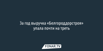 За год выручка «Белгороддорстроя» упала почти на треть