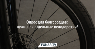 У белгородцев интересуются, нужны ли им отдельные велодорожки